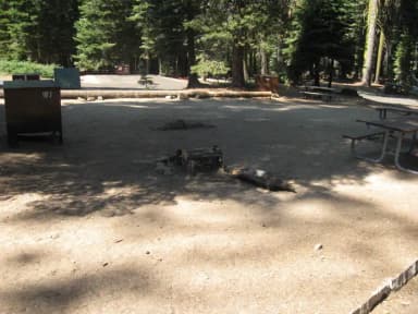 Site 187, partial shade