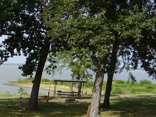 Quail 17