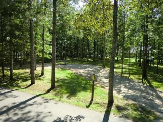 Campsite #3