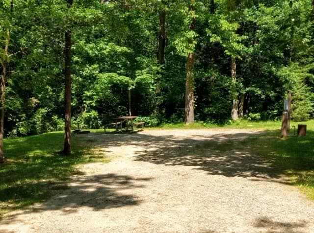 Campsite #8