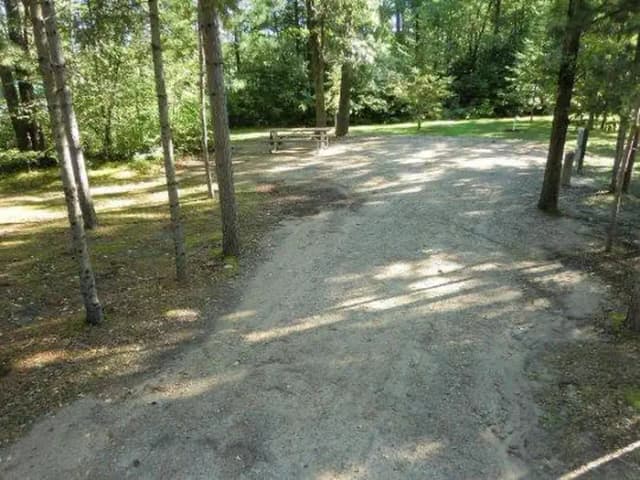 Campsite #11