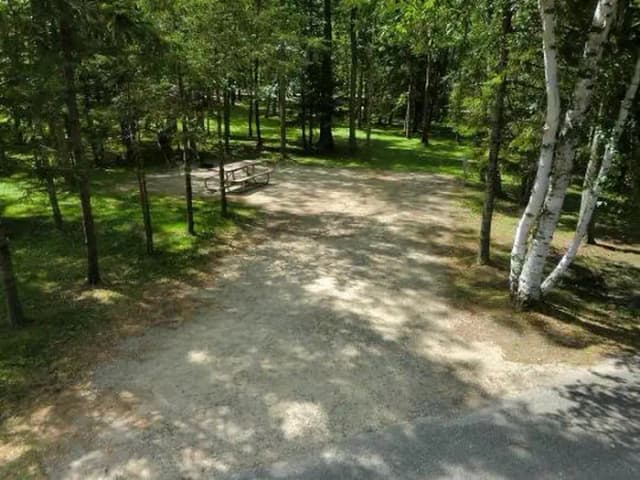 Campsite #21