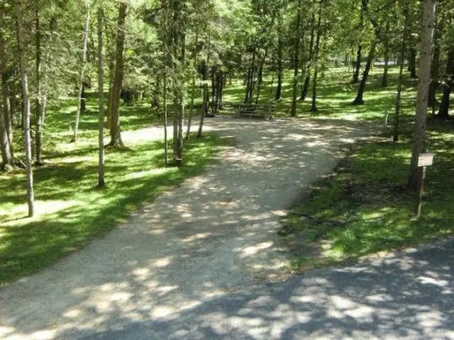 Campsite #24