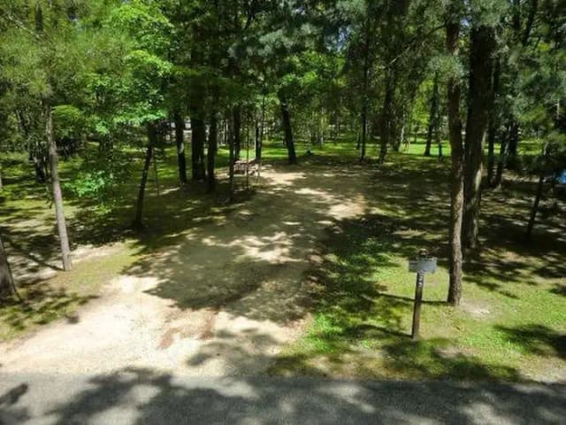 Campsite #25