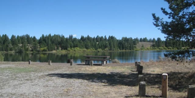 Site 10, campsite surrounded by pine trees, picnic table & fire ring