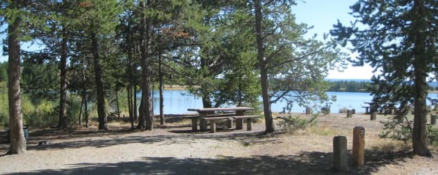 Site 12, campsite surrounded by pine trees, picnic table & fire ring