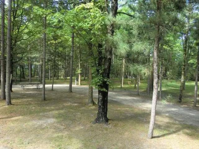 Campsite #31