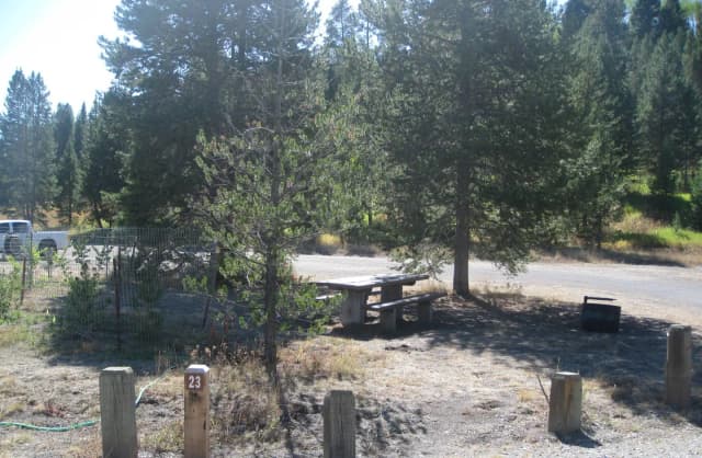 Site 23, campsite surrounded by pine trees, picnic table & fire ring