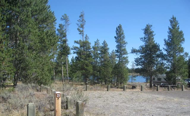 Site 25, campsite surrounded by pine trees, picnic table & fire ring
