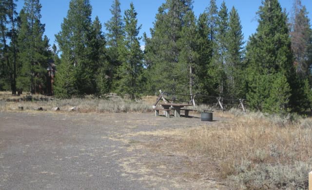 Site 27, campsite surrounded by pine trees, picnic table & fire ring