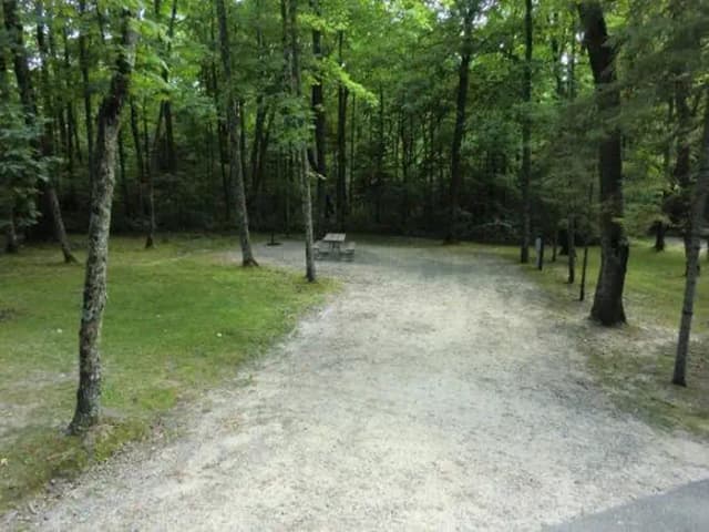 Campsite #37
