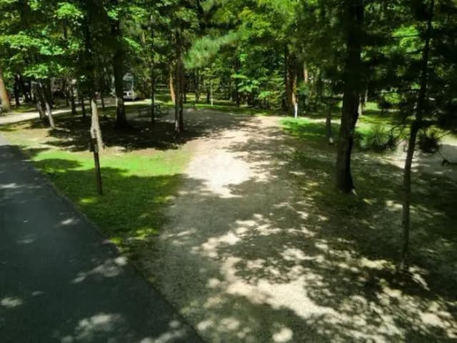 Campsite #40