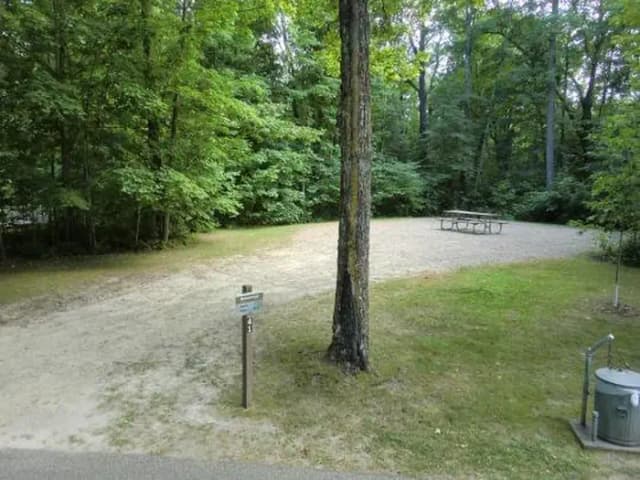 Campsite #41