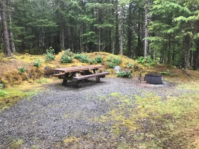 Site 025 at Mendenhall Campground