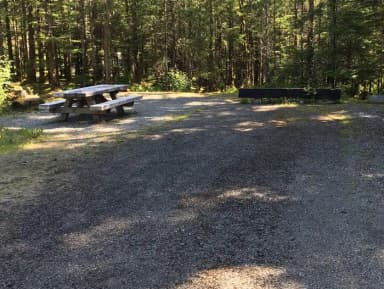 Site 066 at Mendenhall Campground