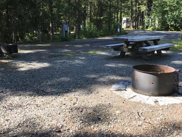 Site 066 at Mendenhall Campground
