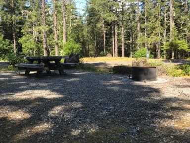 Site 066 at Mendenhall Campground
