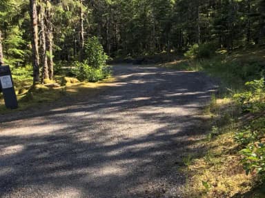 Site 052 at Mendenhall Campground