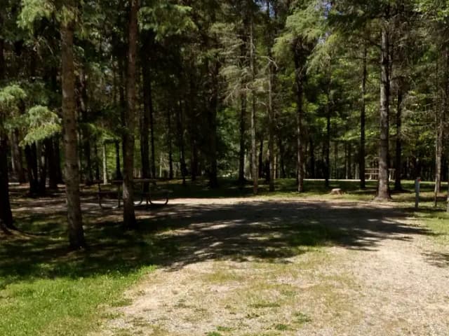 Campsite #47