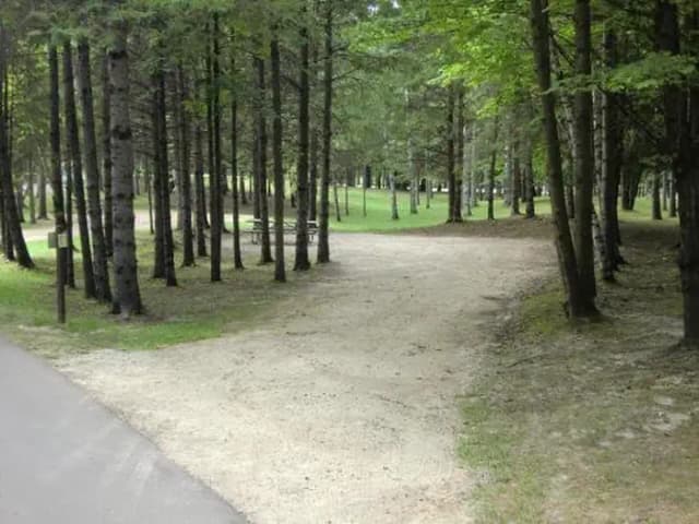 Campsite #49