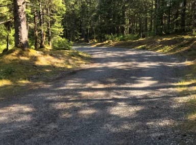 Site 054 at Mendenhall Campground