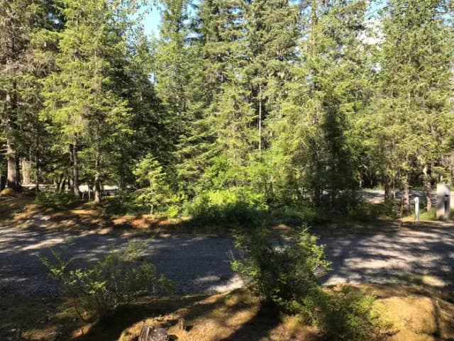 Site 054 at Mendenhall Campground