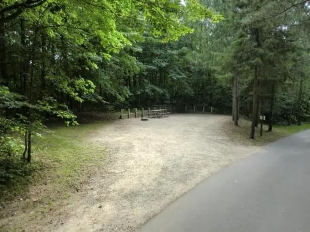 Campsite #50