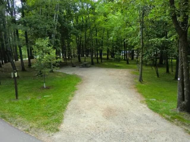 Campsite #51