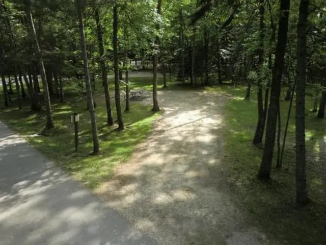 Campsite #54