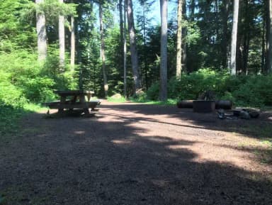 STANDARD NONELECTRIC · Site 003 at Auk Village Campground