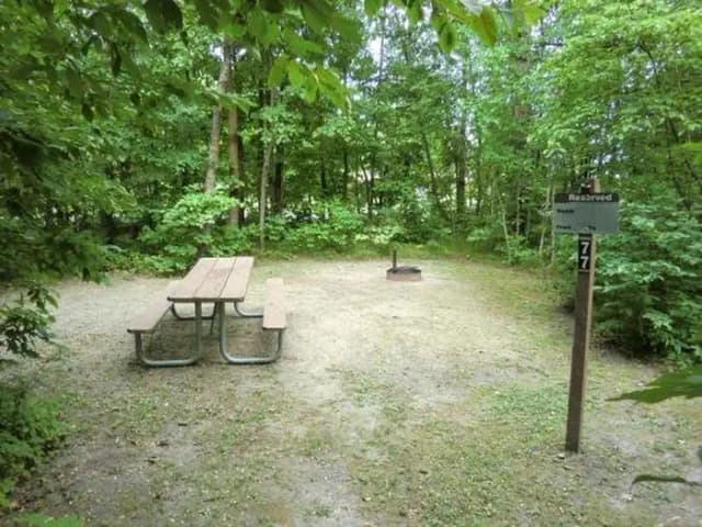 Campsite #77