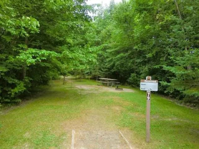 Campsite #79