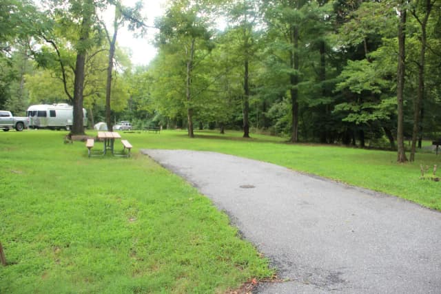 Greenbelt Park Campground Site 145
