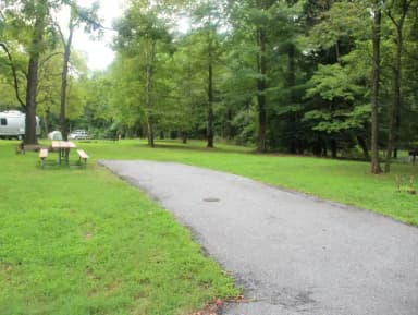 Greenbelt Park Campground Site 145