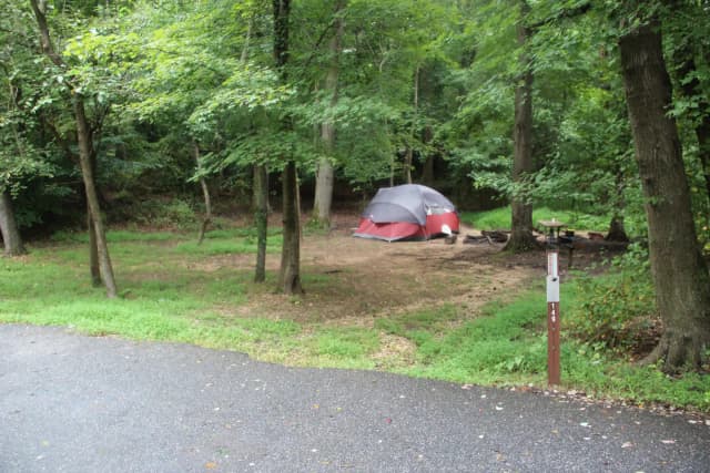 D147 D Loop of the Greenbelt Park Maryland campground