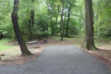 D149 D Loop of the Greenbelt Park Maryland campground
