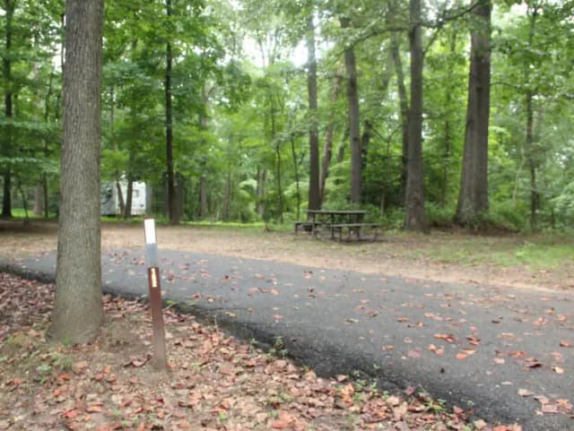 D150 D Loop of the Greenbelt Park Maryland campground