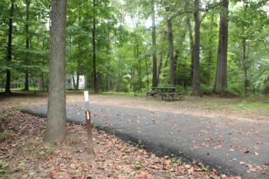 D150 D Loop of the Greenbelt Park Md campground
