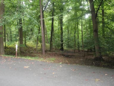 D151 D Loop of the Greenbelt Park Md campground
