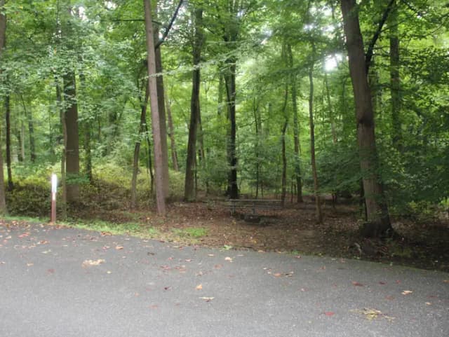 D151 D Loop of the Greenbelt Park Maryland campground