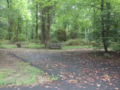 D152 D Loop of the Greenbelt Park Maryland campground