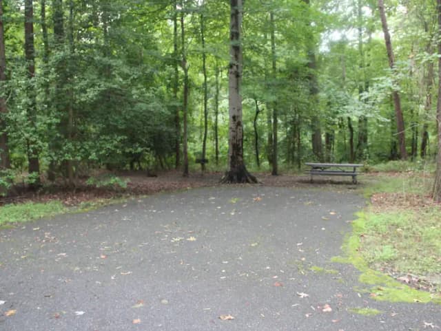 D 156  D Loop of the Greenbelt Park Maryland campground
