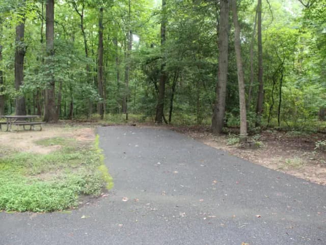 D 157 D Loop of the Greenbelt Park Md campground