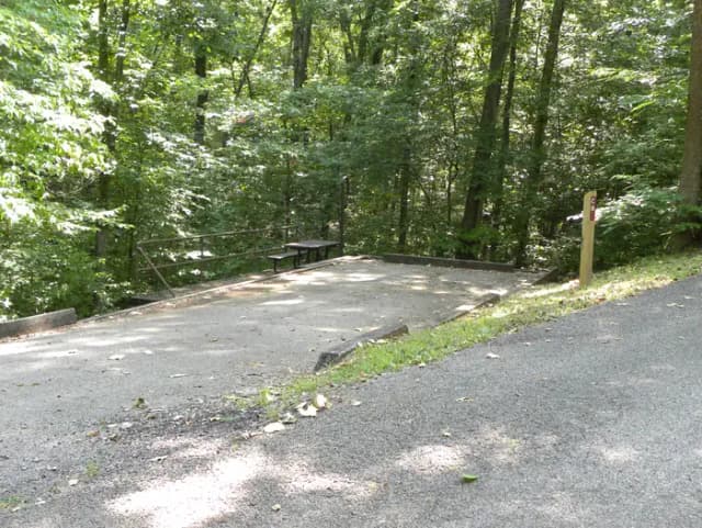 C8