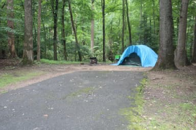D 162 D Loop of the Greenbelt Park Maryland campground