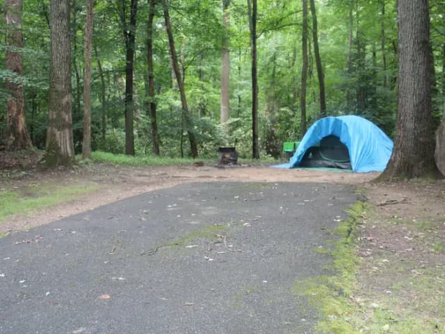 D 162 D Loop of the Greenbelt Park Md campground