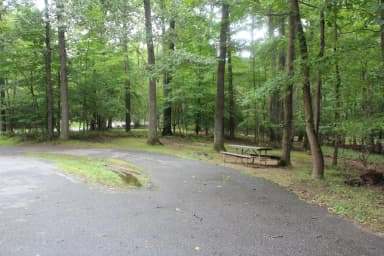 D 163 D Loop of the Greenbelt Park Md campground (Former Site 173)