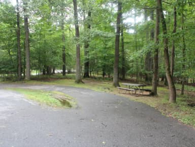 D 163 D Loop of the Greenbelt Park Maryland campground (Former Site 173)