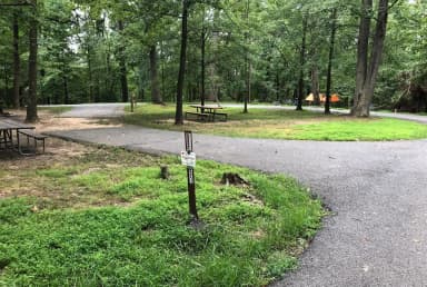 B Loop Site B 52 Greenbelt Park MD campground