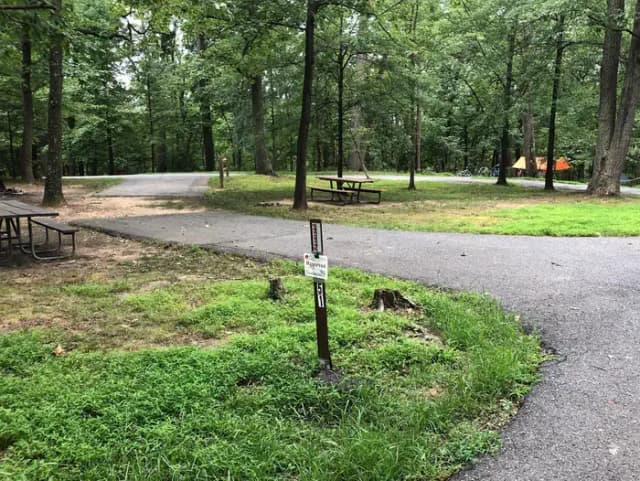 B Loop Site B 52 Greenbelt Park Maryland campground
